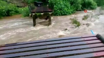 - Wipha Tayfunu Tayland'da Sele ve Toprak Kaymalarına Neden Oldu