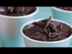 Chocolate Pudding | Yummy Ph