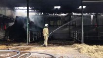 Incendie d'une ferme Carrière Robert à Philippeville (2019)