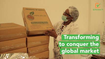 Kenya: Transforming to conquer the global market
