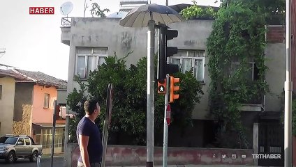 Kumru ve yavrularını sıcaktan şemsiyeyle korudular