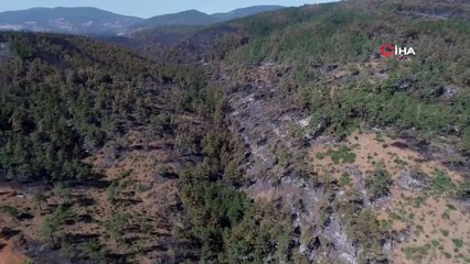 Türkiye'nin Kararan Ciğerleri Havadan Görüntülendi