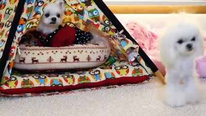 장유출장안마 -후불100%ョOiON6622N4421｛카톡BB5858｝ 장유전지역출장안마 장유오피걸 장유출장마사지 장유출장안마 장유출장마사지 장유출장콜걸샵안마 장유출장아로마 ≡◢►