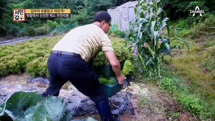 (이거 실화?) 회는 고급음식이라는 인식을 뒤집어 친근한 쟁반 회로 연 매출 36억?!