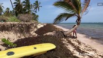 Amazon deforestation causes Dominican Republic beaches to be covered in stinky seaweed