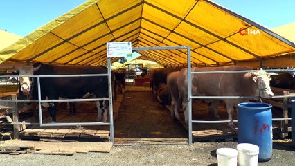 Kurban satış yerlerinde ilaçlama seferberliği