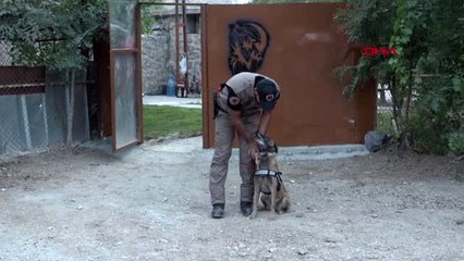 'CADI', 'PARS' VE 'TİPİ', HAKKARİ'DE UYUŞTURUCUYA GEÇİT VERMİYOR