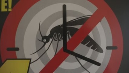 Filipinas declara epidemia nacional de dengue tras 622 muertes