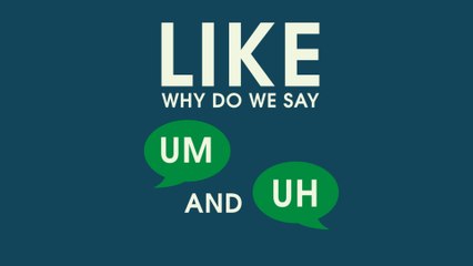 Why Do We Say Um And Uh?