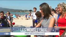 Regardez les premiers pas d'Amandine Bégot, la journaliste de RTL, qui a fait hier soir ses débuts comme joker au 19.45 d'M6