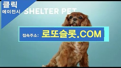 토토일정 “ 로또슬롯。ＣOM “비공개코드【ＣＡ７７】 C&SCLICKTOTO 분석스포츠게임