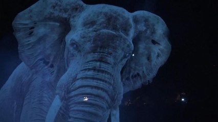 Hologramok helyettesítik az állatokat egy német cirkuszban
