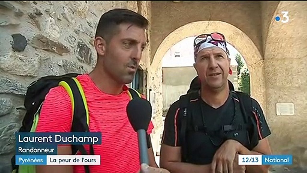 Hautes-Pyrénées : deux randonneurs affirment avoir rencontré un ours dans la vallée de Louron