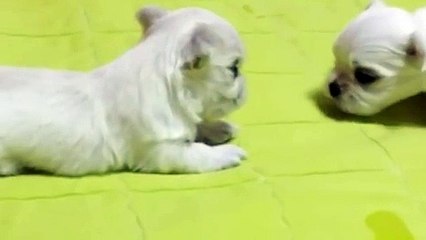 신촌출장안마 -후불100%ョØ7ØE7575E0069｛카톡RD654｝ 신촌전지역출장안마 신촌오피걸 신촌출장마사지 신촌출장안마 신촌출장마사지 신촌출장콜걸샵안마◔◀も