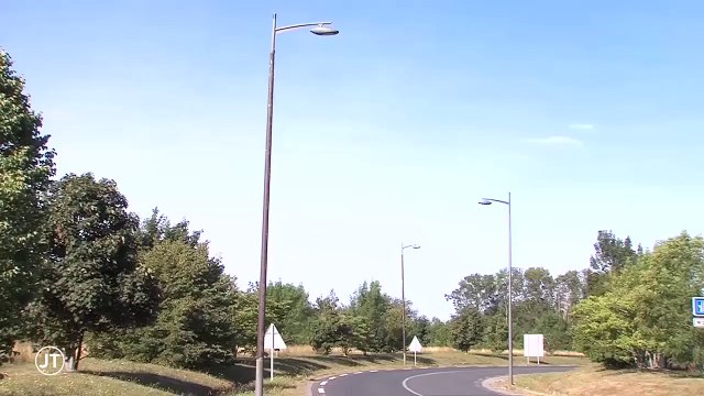 Insolite: les pics verts s’attaquent aux lampadaires d’Izoparc à Sorigny