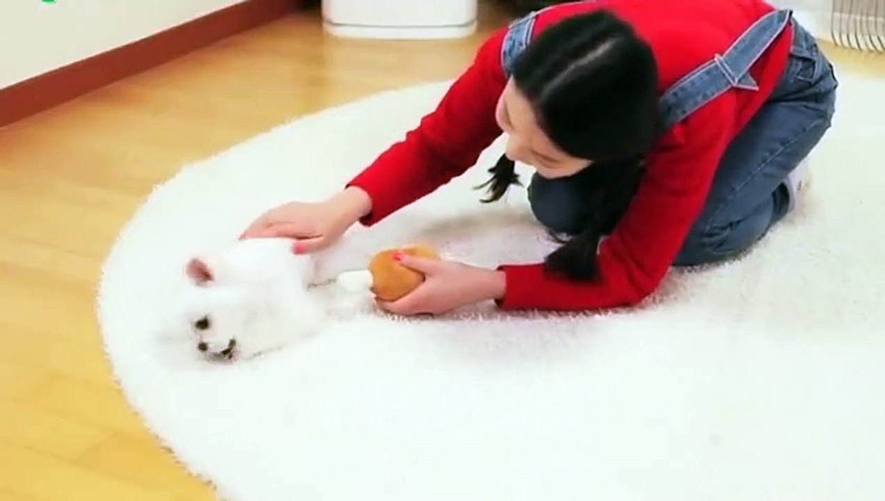 증평출장안마 -후불100%ョOiOV2671V8135｛카톡AQ52｝ 증평전지역출장안마 증평오피걸 증평출장마사지 증평안마 증평출장마사지 증평콜걸샵≭㍇㌘