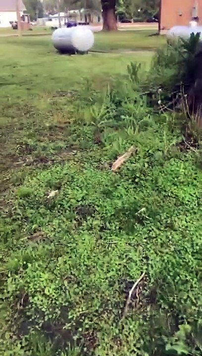 The secrets to mowing a wet yard and why it isnt a good idea