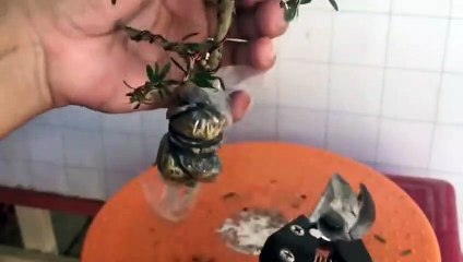 청주출장안마 -후불100%ョOiOW2671W8135｛카톡LA369｝ 청주전지역출장안마 청주오피걸 청주출장마사지 청주출장안마 청주출장마사지 청주출장콜걸샵안마 청주출장아로마 ≥⾾㌨