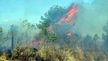 Incêndio perto do aeroporto de Cascavel mobiliza equipes de bombeiros