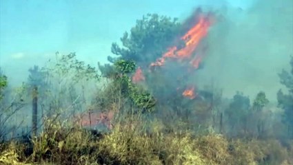 Incêndio perto do aeroporto de Cascavel mobiliza equipes de bombeiros