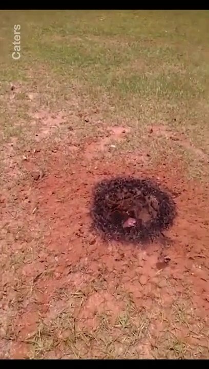 Il entend un gros bruit et ce qu'il découvre dans le jardin est incroyable : chute de météore