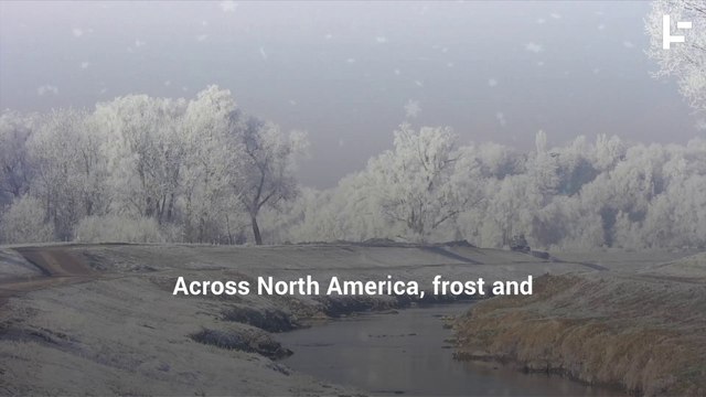 1816: The Year Without Summer