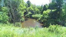 36 Fatima Pilgrimage walk across USA  #walking in scenic Wisconsin with Mary