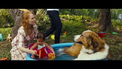 A Dog’s Journey Movie Clip - Playtime in the Pool