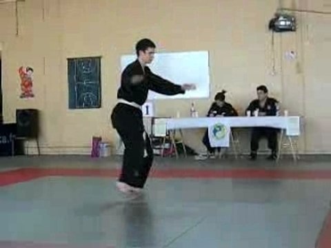 Viet Vo Dao Marolles Quyen Anis