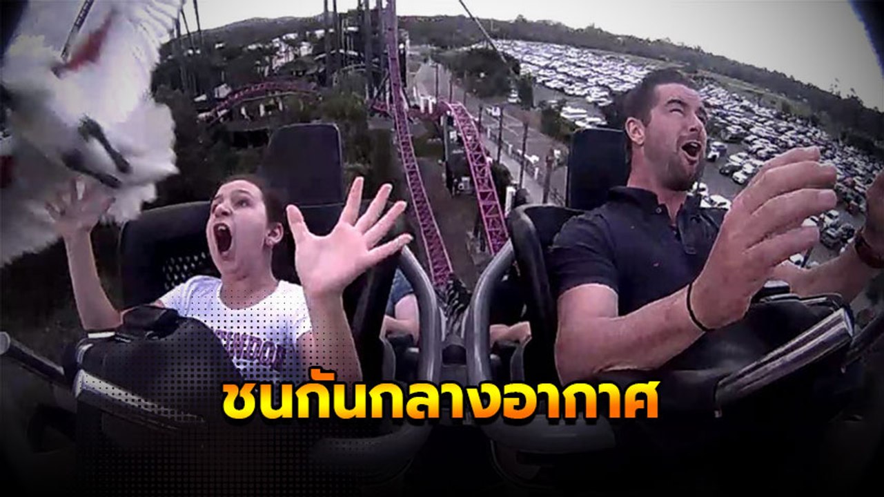 สาวเจ้าบอก แค่นั่งโรลเลอร์โคสเตอร์ก็กลัวอยู่แล้ว นกบ้าบินชนหน้าอีก