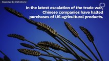 Chinese Companies Are Halting Purchase Of US Agriculture Products