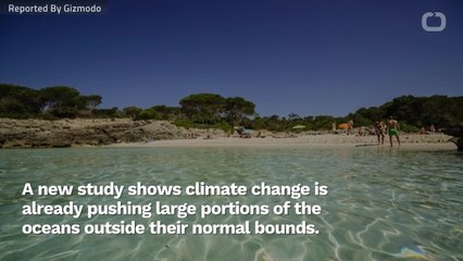 Ocean Heat Waves Are Becoming More Common