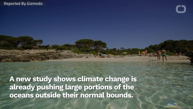 Ocean Heat Waves Are Becoming More Common