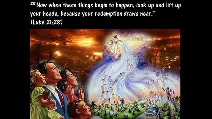 This Happened On Planet Earth... 2019...End Times Signs - Ep 04