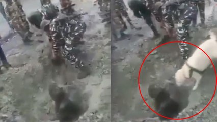 Toprak altında kaldı, köpek hayatını kurtardı