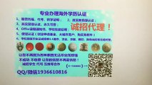 美国(UW–Green Bay高仿毕业证)QQ/微信1936610816办理威斯康星大学绿湾分校毕业证成绩单假文凭学历认证留服认证留信认证使馆公证University of Wisconsin–Green Bay diploma