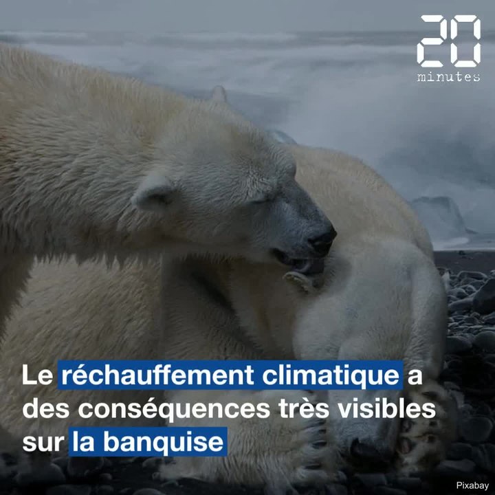 Les catastrophes climatiques touchent de plus en plus la planète