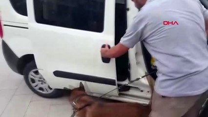 Adana'da 40 bin uyuşturucu hap ele geçirildi