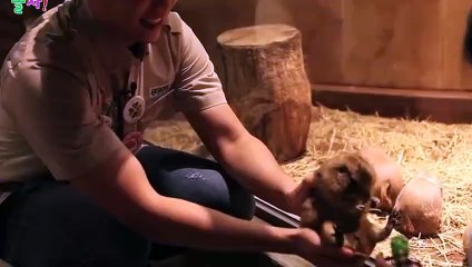 동성로출장안마 -후불100%ョOiON6622N4421｛카톡EM85｝ 동성로전지역출장안마 동성로오피걸 동성로출장마사지 동성로안마 동성로출장마사지 동성로콜걸샵⻜㍗◗