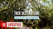 Trek Destination: Mossy Forest, Cameron Highlands
