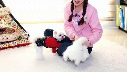 여주출장안마 -후불100%ョØ1ØZ7467Z4367｛카톡KP93｝ 여주전지역출장안마 여주오피걸 여주출장마사지 여주출장안마 여주출장마사지 여주출장콜걸샵안마㍗⾼∠