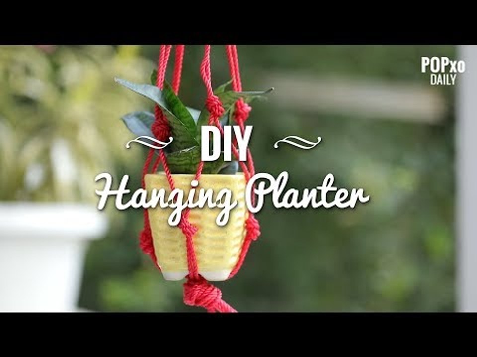 DIY Hanging Planter - POPxo