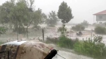 Antalya'da dolu yağışı meyve ve sebzelere zarar verdi