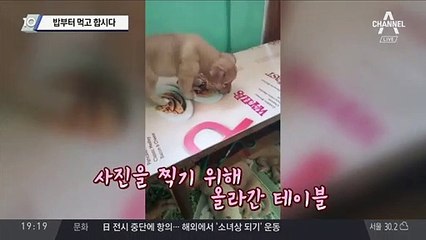 밥부터 먹고 합시다