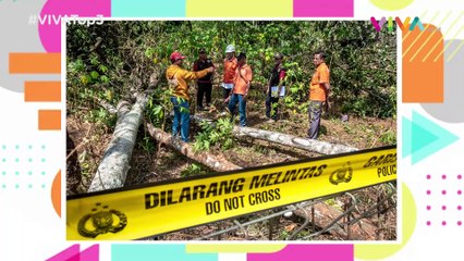 Ganjil Genap Motor, Ancaman Jokowi & Ganti Rugi PLN