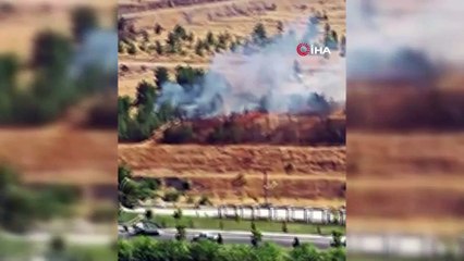 Ağaçlık alanda korkutan yangın