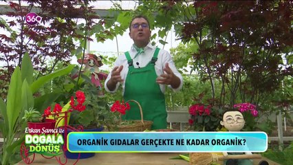 Organik gıdalar gerçekten organik mi?