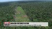 Deforestation in Brazil in July 2019 increases by 278 pct. on-year