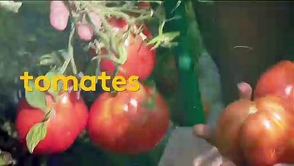 Chambéry : des maraîchers en danger