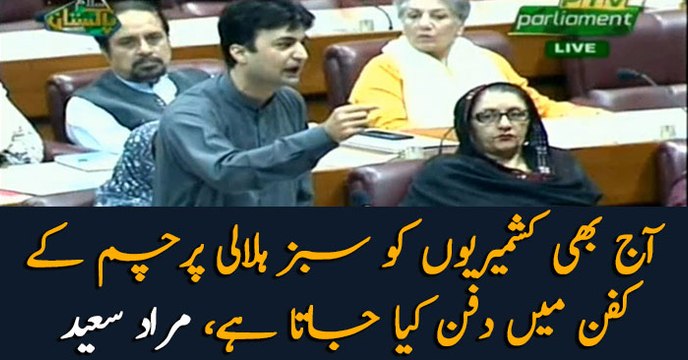 Kashmiris still bury their loved ones with Pakistani flags: Murad Saeed